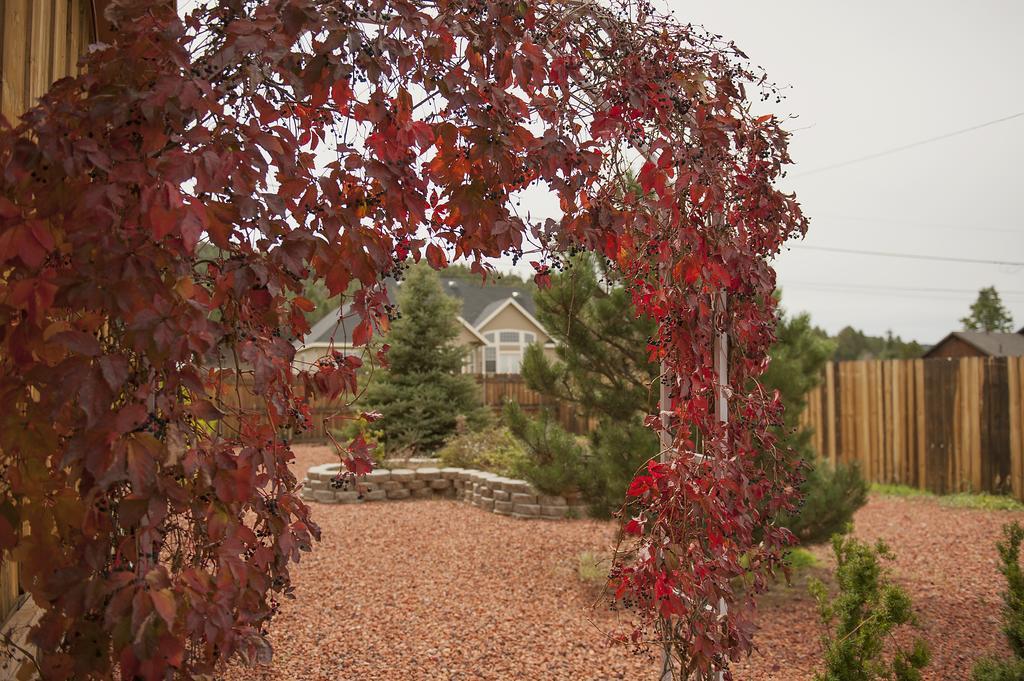 Grand Canyon Bed And Breakfast Williams Extérieur photo